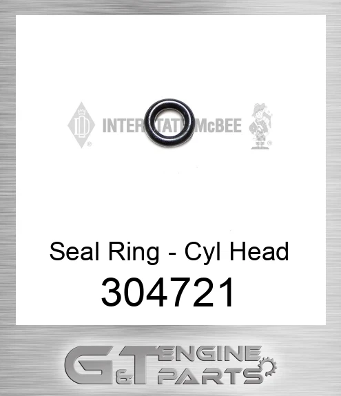 304721 Seal Ring - Cyl Head