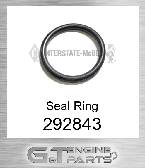 292843 Seal Ring