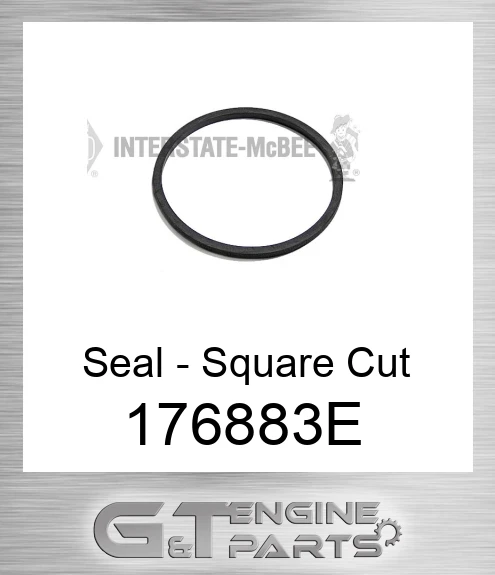 176883E Seal - Square Cut