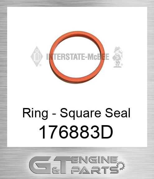 176883D Ring - Square Seal