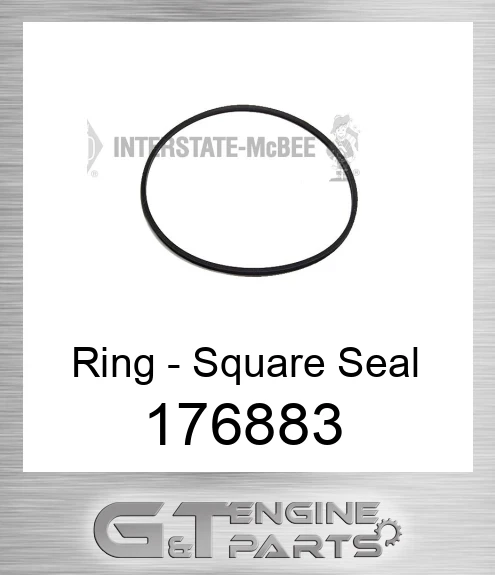 176883 Ring - Square Seal