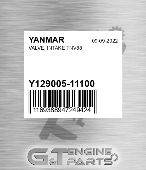 Y129005-11100 VALVE, INTAKE TNV88