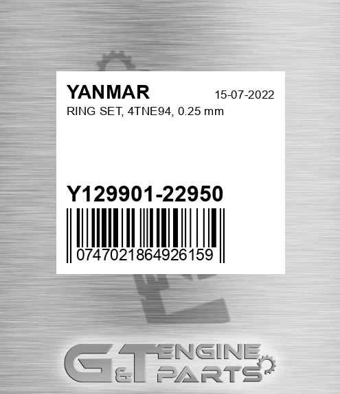 Y129901-22950 RING SET, 4TNE94, 0.25 mm