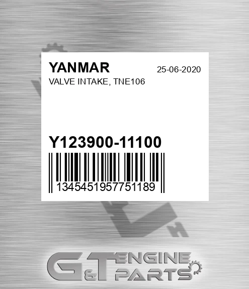 Y123900-11100 VALVE INTAKE, TNE106