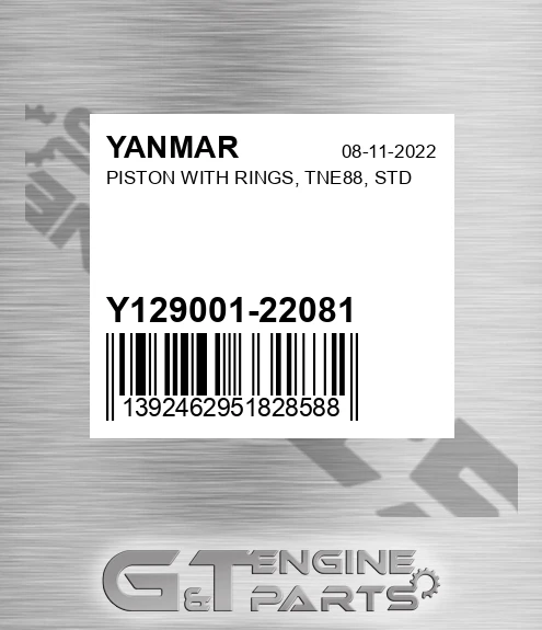 Y129001-22081 PISTON WITH RINGS, TNE88, STD