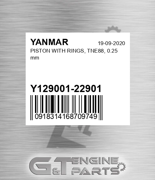 Y129001-22901 PISTON WITH RINGS, TNE88, 0.25 mm